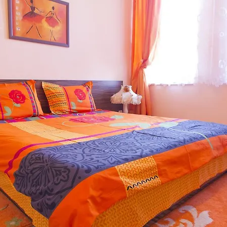 Orange Flower ソフィア