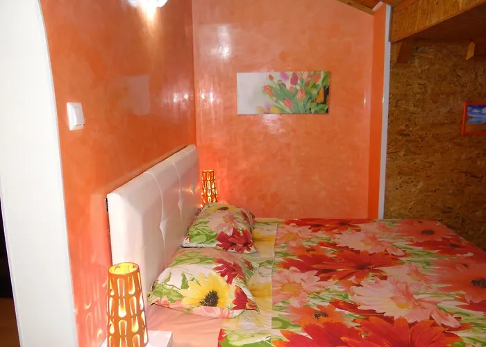 Apartman Orange Flower *