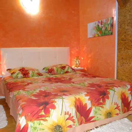Orange Flower Appartamento *