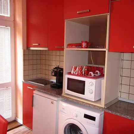 Orange Flower Sófia