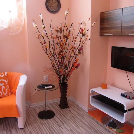 Orange Flower
