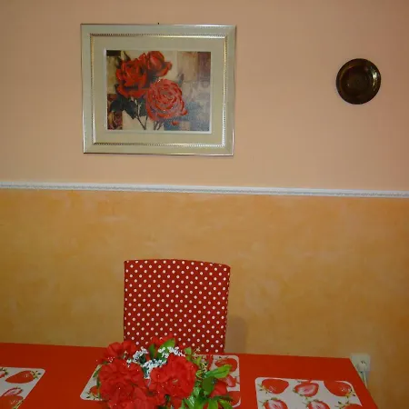 Orange Flower Apartamento Sófia