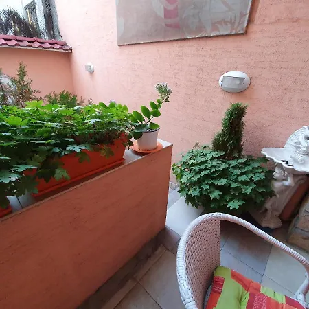 Orange Flower Appartement