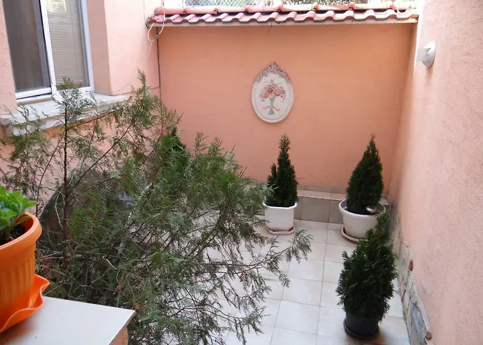 Apartament Orange Flower Sofia