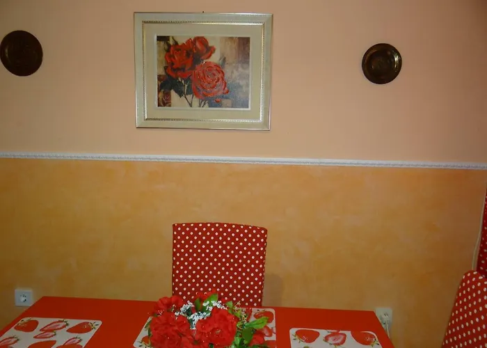 Orange Flower Apartament Sofia