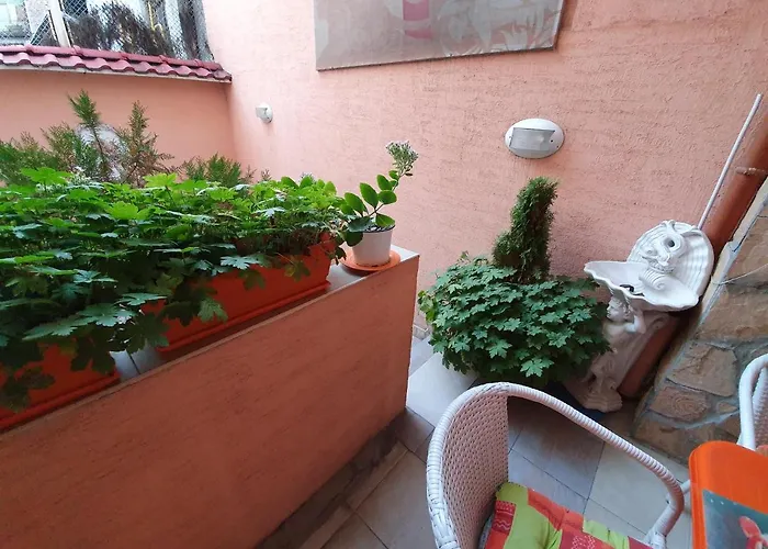 Orange Flower Apartment